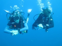 Diving the Deeper Depths of the Ocean