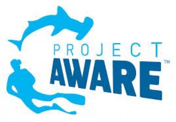 AWARE Shark Conservation!